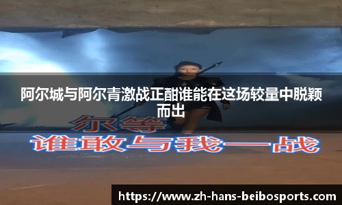 BB贝博体育首页